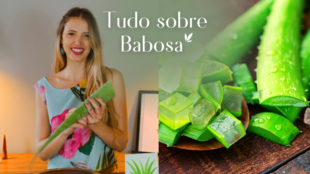 Babosa é bom pra quê Benefícios e como usar Instituto Naturale