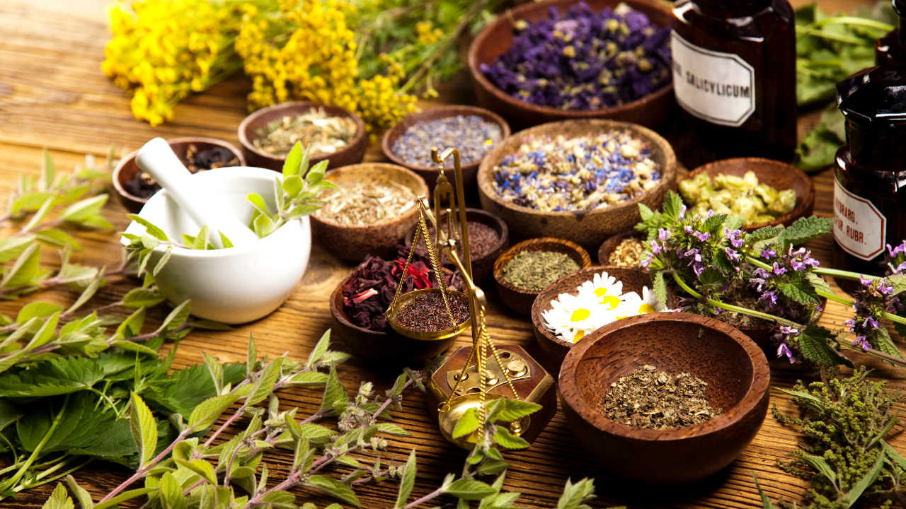 O que são plantas medicinais