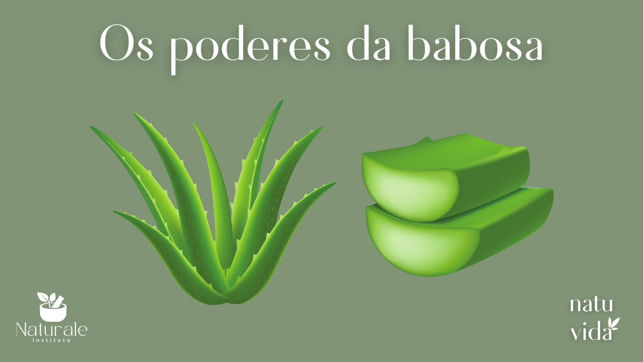 Babosa é bom pra quê? Benefícios e como usar - Instituto Naturale