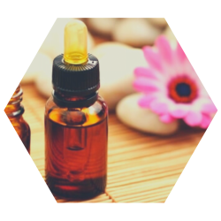 imagens paginas cursos (1)