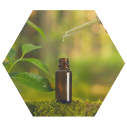 imagens paginas cursos (2)