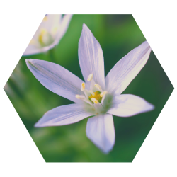 imagens paginas cursos (5)