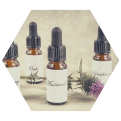 imagens paginas cursos (6)