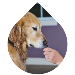 imagens site e cursos (11)