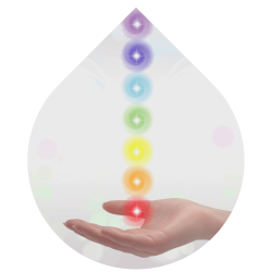 imagens site e cursos (18)