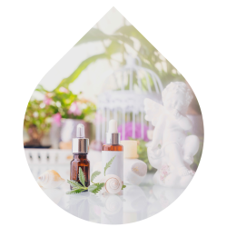 imagens site e cursos (21)