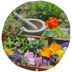 imagens site e cursos (51)