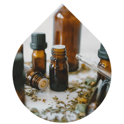 imagens site e cursos (6)