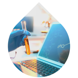 imagens site e cursos (7)