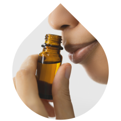 imagens site e cursos (8)