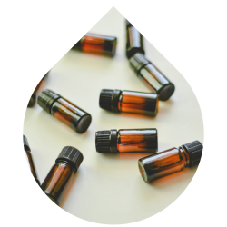 imagens site e cursos (9)